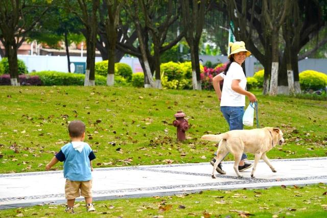 抓住节日的尾巴,缓游、慢游、悠游南沙~
