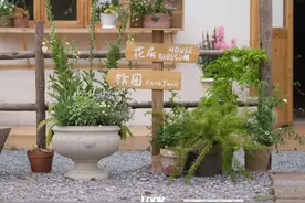 来宝山这些地方，解锁自然的治愈力量吧~图片
