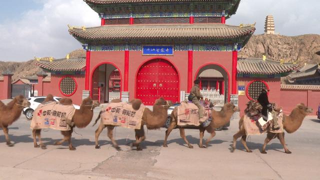 驼铃再响永昌 丝路共谱新篇——“东天山来的骆驼队”在永昌