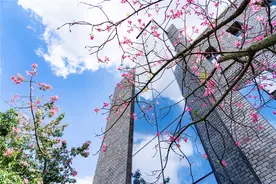 广东东软学院图书馆外景图片