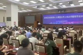 深圳龙岗首批政务AI大模型应用上线，六大助手亮相图片