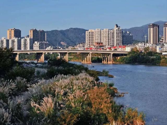 属于福安人的第一场“雪”来了！