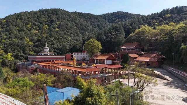 本地人力荐的半日宝藏打卡地！来寻甸自由“森”呼吸~