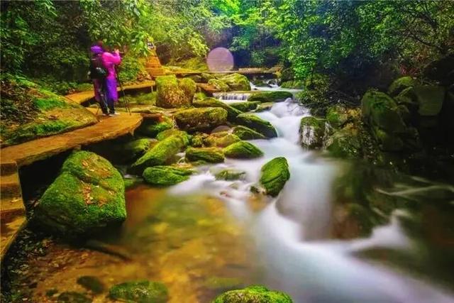 层林尽染，走进保康的秋日诗篇！