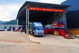 湖南汝城：小黄姜香“飘”海外大市场图片