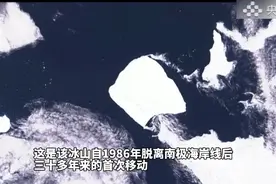 果然视频·看天下|世界最大冰山开始移动图片