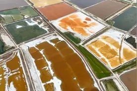 气温升高 山西运城盐湖呈现“调色盘”奇特景观图片