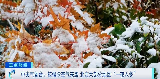雨雨雨！雪雪雪！骤降10℃！“断崖式”降温，来了