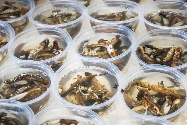 厦门哩厚！跟着影视作品游这座“海上花园”