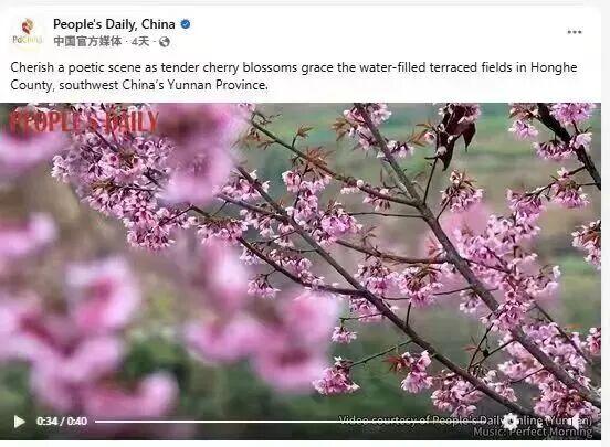 冬暖花开游云南｜红河冬日视觉盛宴等你开启