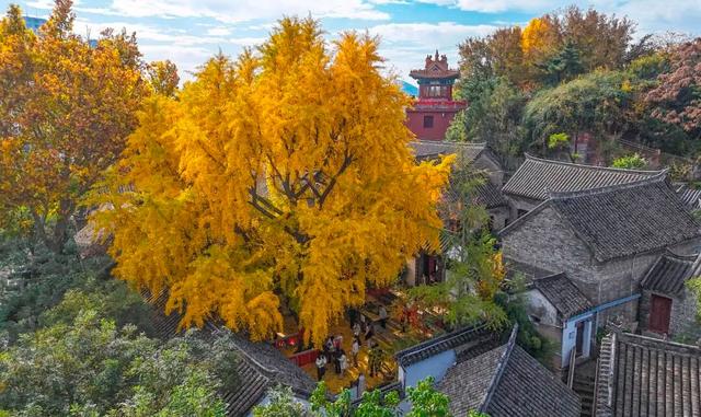 11月，是时候来一趟徐州了