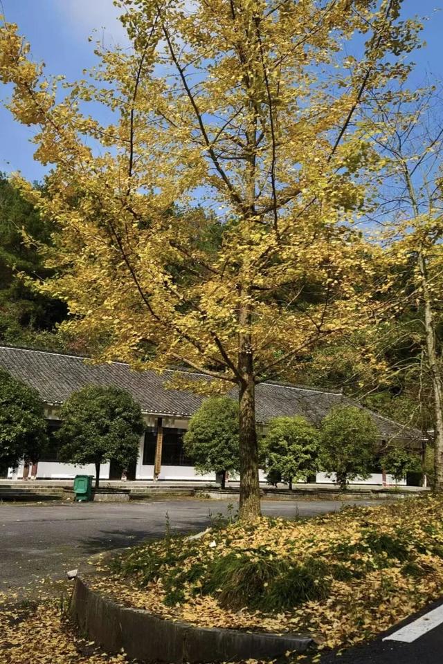 洛塔世界地质公园演绎“水与石的千古传奇”——第四届湘西州旅游发展大会系列报道之二