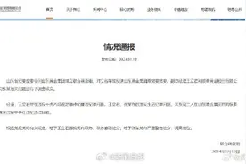 调查组通报男子举报妻子出轨国企领导图片