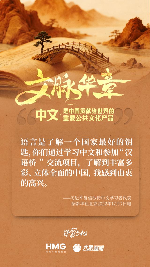文脉华章|中文是中国贡献给世界的重要公共文化产品