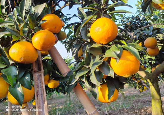 永川“留娃”去处上新→