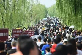 40元4天3晚游桂林？揭秘“低价游”背后灰色产业链图片