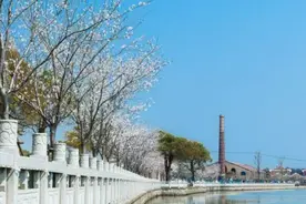 精彩村晚、春日骑行、特色路线！浦东老港文体旅“大戏”不间断图片
