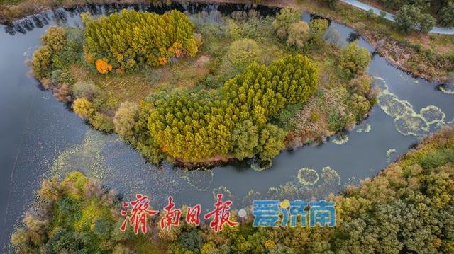 一年四季 泉在济南丨济西湿地公园，秋日绘就斑斓画卷