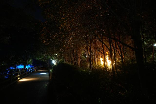 从“月下观山”到“光影入画” 雁荡山灵峰夜游全面升级