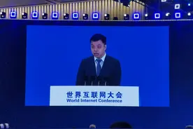 拼多多联席CEO赵佳臻：新阶段将把高质量发展作为最重要目标和任务图片
