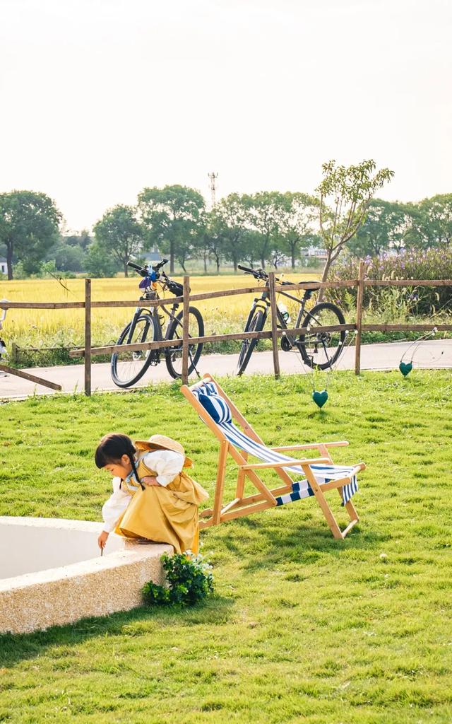 黄金稻田、绝美窗景！这个免费的爆款机位，定格上海最美秋天→