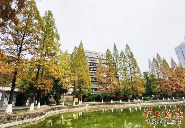 市动物园迎来“颜值巅峰”