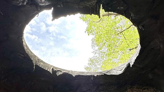 探秘上海花园节：40座梦幻花园临港绽放，一睹静谧自然之美