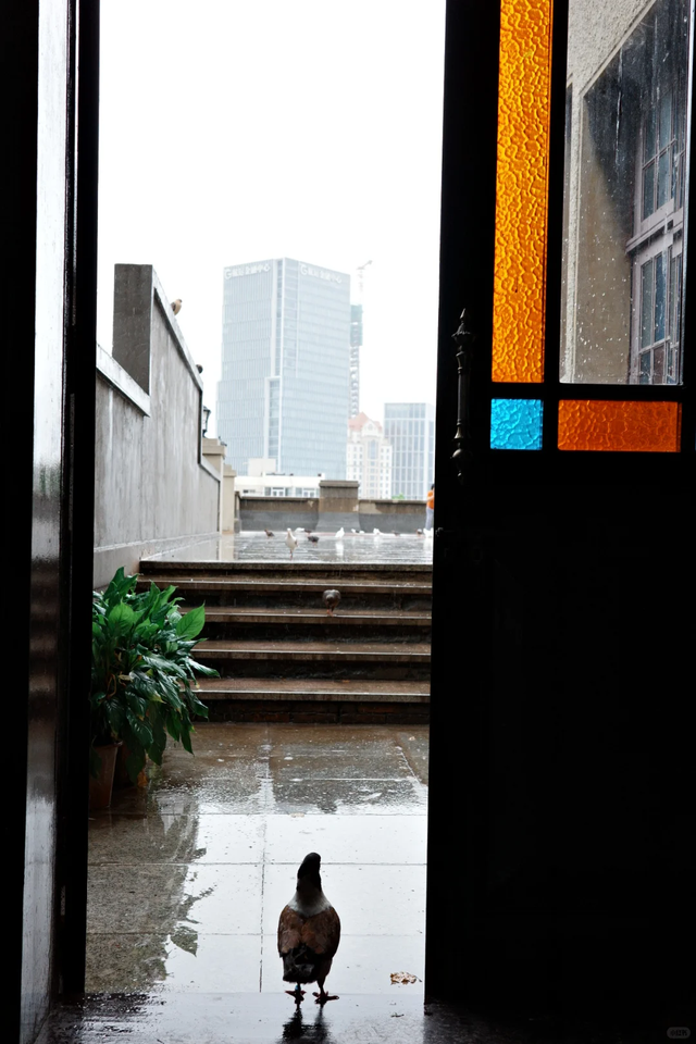 烟雨市北~不必赴江南，雨落此间即诗意