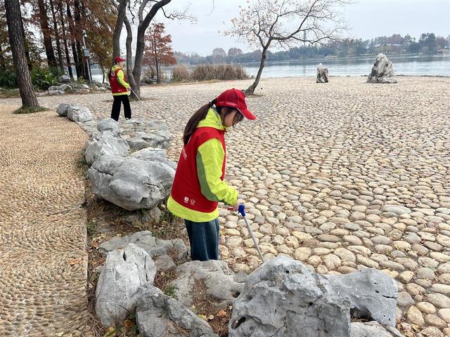武汉文旅志愿者守护东湖飞鸟，绘就生态文旅画卷