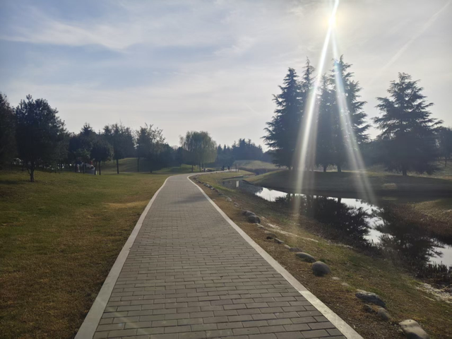 秋意浓，漫步图鉴就在→