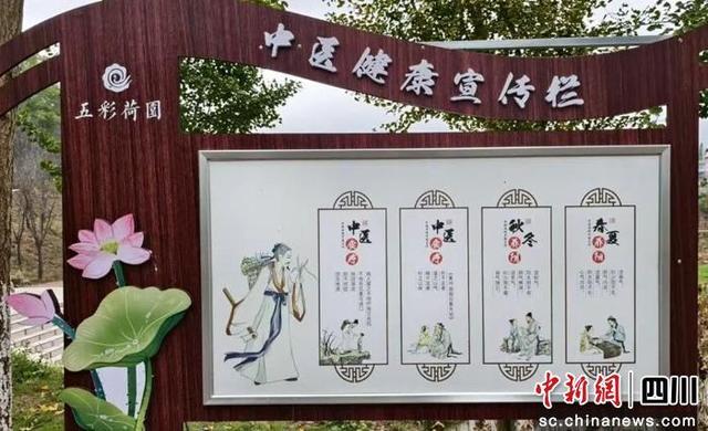 自贡贡井：全力打造省级中医药健康旅游示范基地