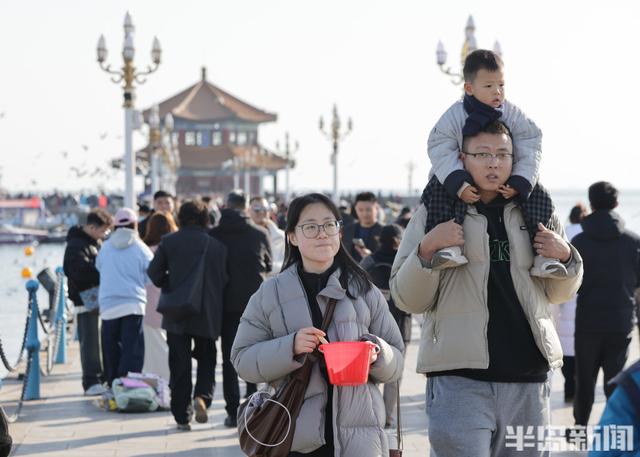 冬日人鸥共舞绘就和谐图景