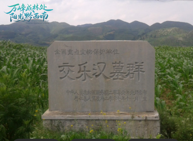 万峰文艺｜脚尖上的回忆