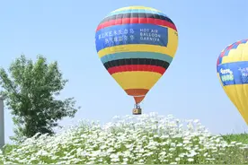 假期“趣”哪玩？石家庄滹沱河艺术生态岛开启热气球嘉年华图片