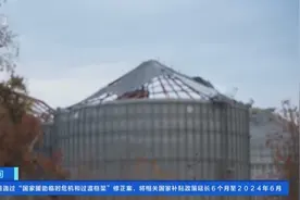 极端天气频发致大片农田被毁！美国肯塔基州格雷夫斯县农作物歉收图片