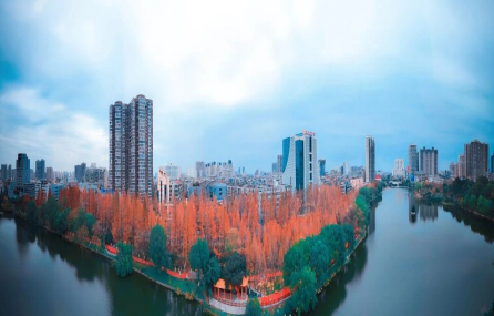 跟着地图赏秋色 荆州发布城区“落叶缓扫”地图