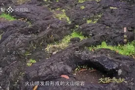 背靠火山 向海而生！跟着央视《文脉春秋》探寻海口生生不息的奥秘图片