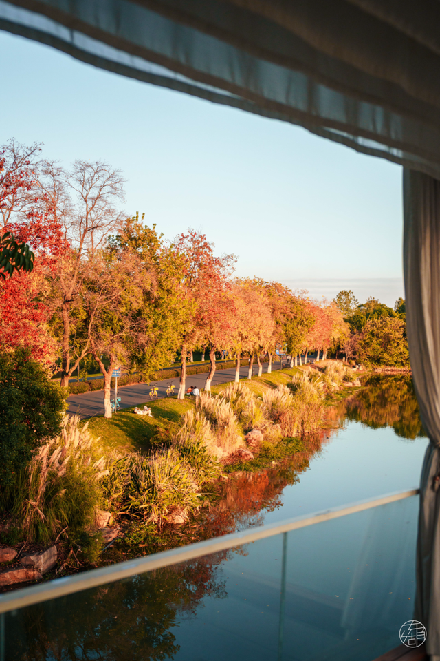 降温了，躲进东湖暖咖，独享封神秋景！