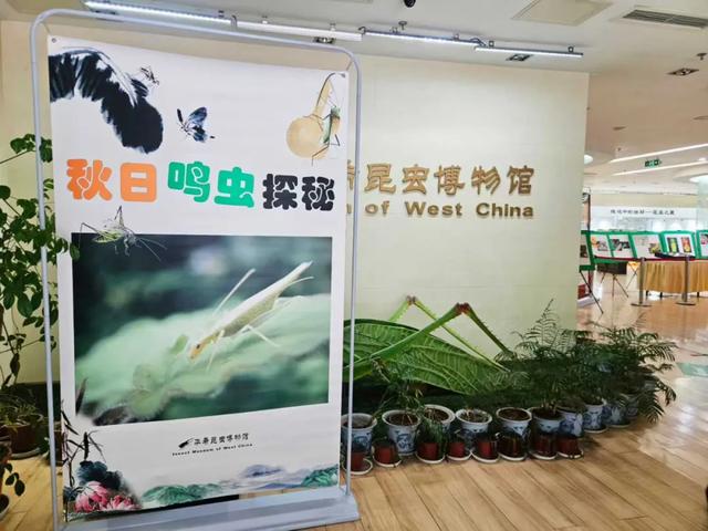 珍水润天府·都江花月夜
