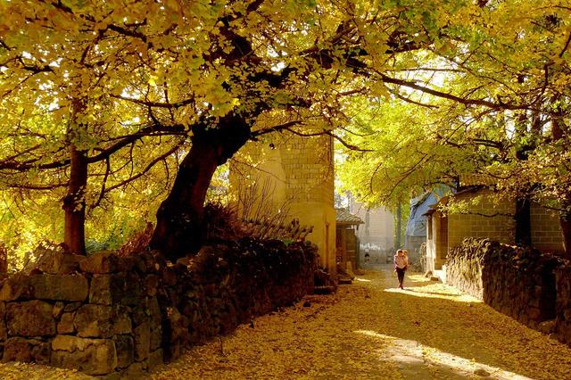 腾冲，真的值得来一趟！丨解锁云南小众宝藏地图·腾冲科学家论坛特别篇