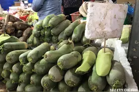 半岛调查丨四五元一斤的青萝卜，“底价”多少？记者源头探访发现，出库价每斤2～4毛图片