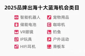 智能机器人、VR眼镜跻身出海十大类目，速卖通百亿补贴加码图片