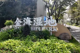 浦东：以湿地为特色，这座环上公园带你体验灵动之美图片