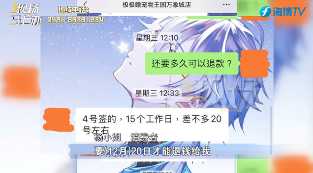 宠物店连夜关门，店内还有猫狗无人照顾？