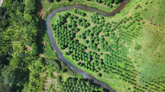 盘龙格调｜滇池之源——盘龙江水