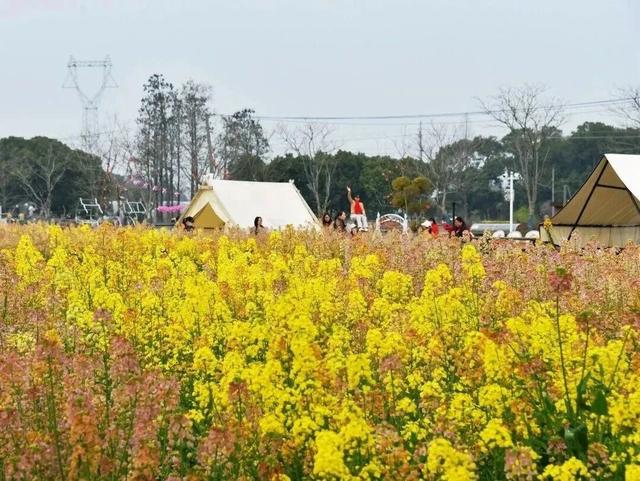免费！火热！很多无锡人正在赶去