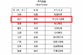 全省唯一！中江手工挂面入选中国“节气名品”名录图片