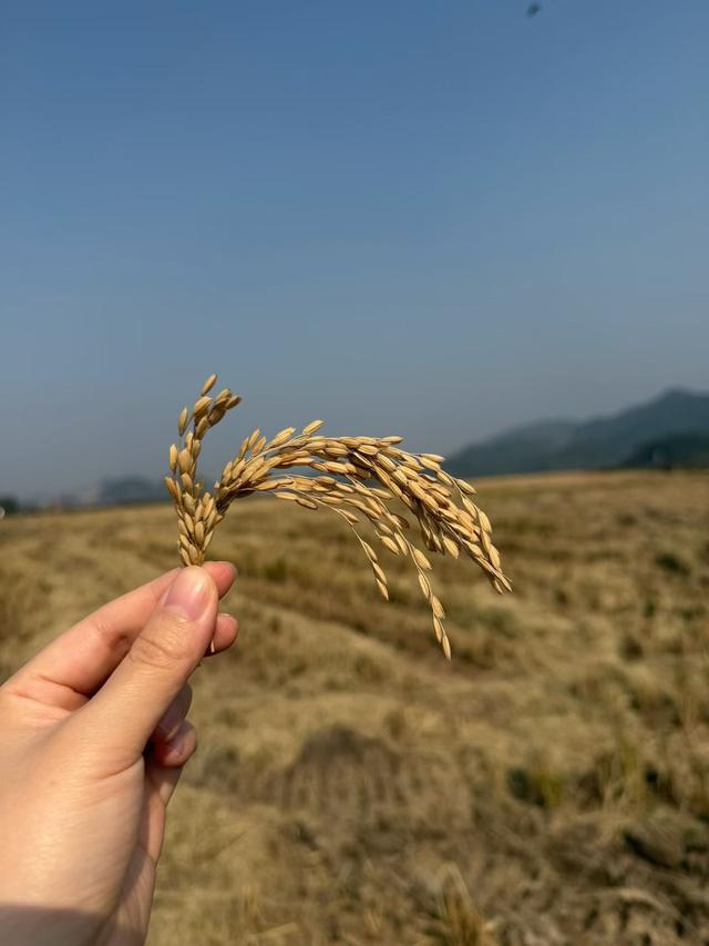 写点生活｜转角见美