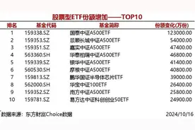 20只股票型ETF份额增加超1亿份，国泰中证A500ETF增加12.3亿份图片