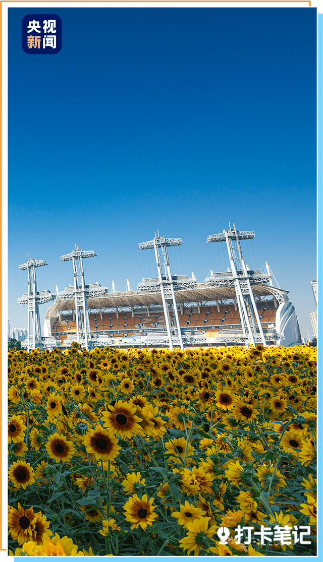 去粤港澳这篇就够了！最新指南→